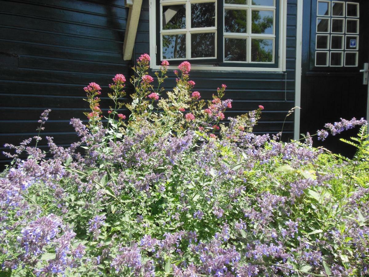 B&B Landgoed Sonneborghe Kollumerzwaag Екстериор снимка